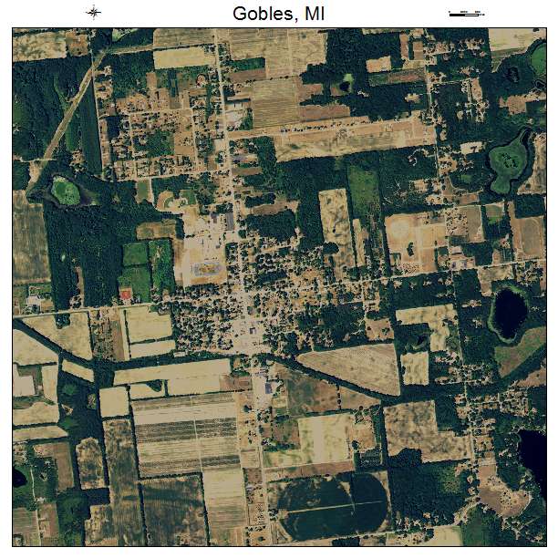 Gobles, MI air photo map