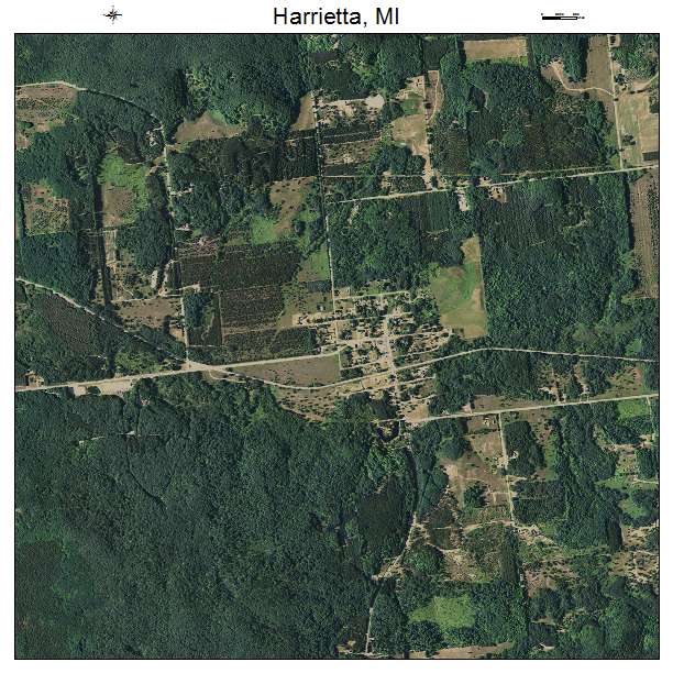 Harrietta, MI air photo map