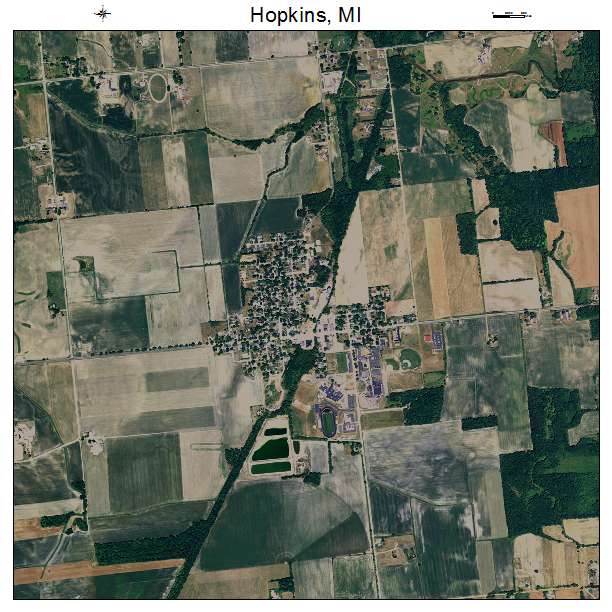 Hopkins, MI air photo map