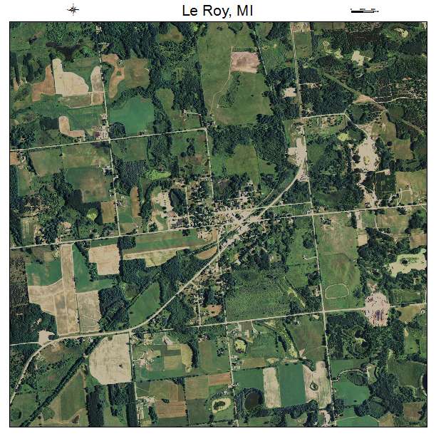 Le Roy, MI air photo map