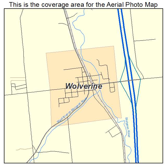 Wolverine, MI location map 