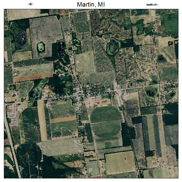 Martin, MI air photo map