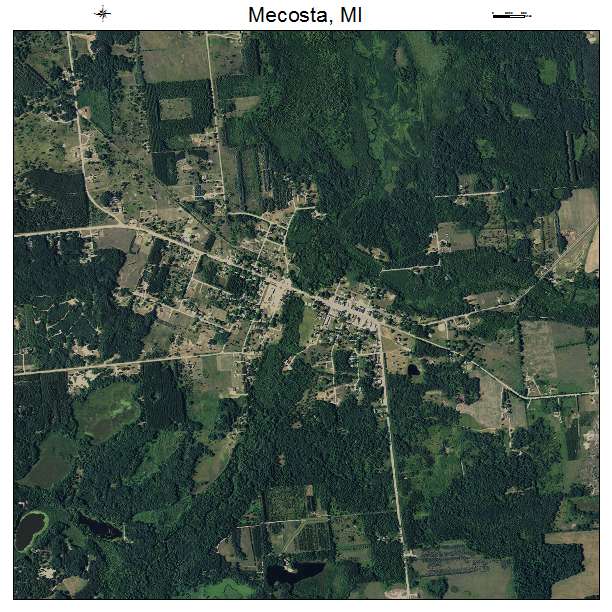 Mecosta, MI air photo map