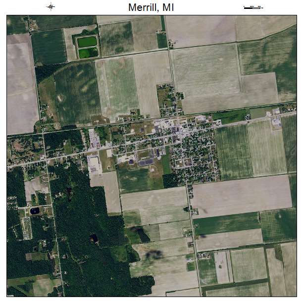 Merrill, MI air photo map