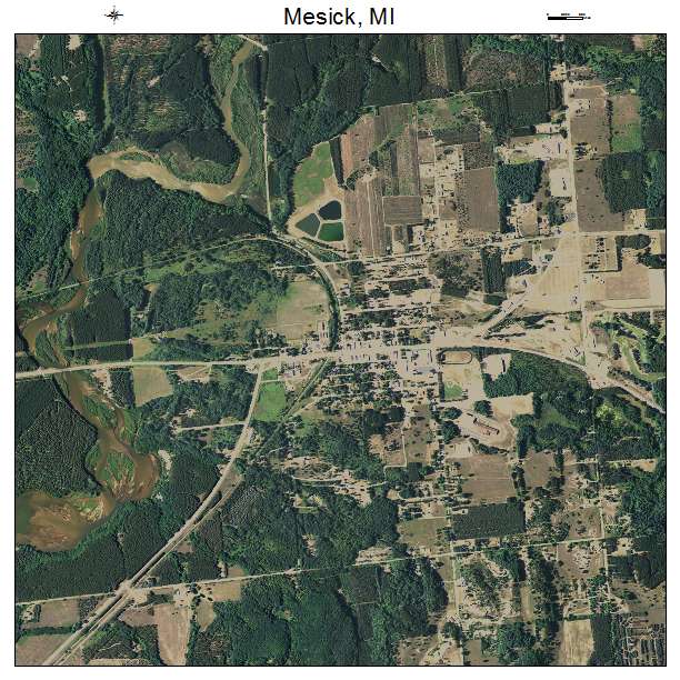 Mesick, MI air photo map