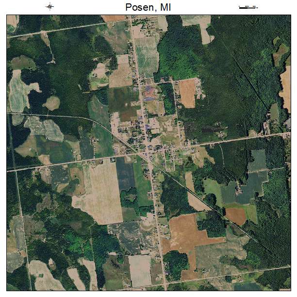 Posen, MI air photo map