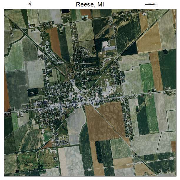 Reese, MI air photo map