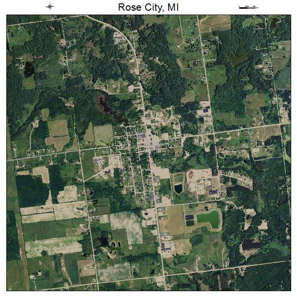 Rose City, MI air photo map