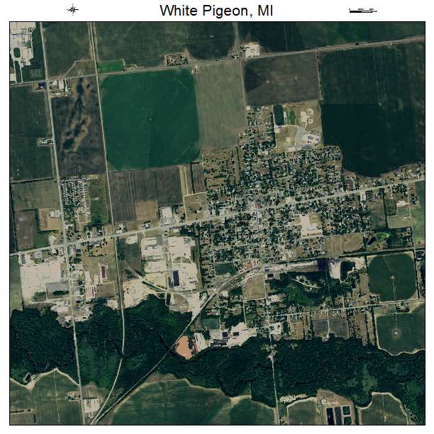 White Pigeon, MI air photo map