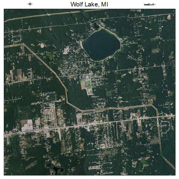 Wolf Lake, MI air photo map