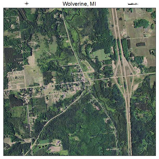 Wolverine, MI air photo map