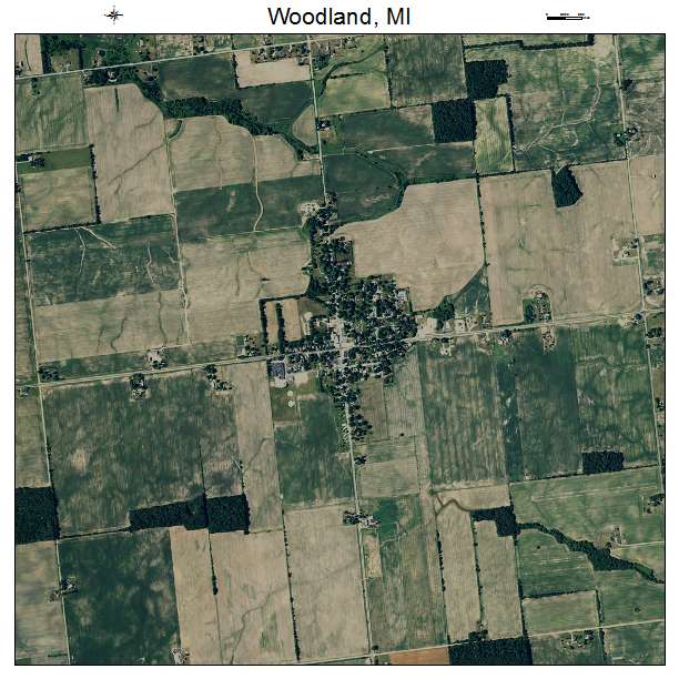 Woodland, MI air photo map