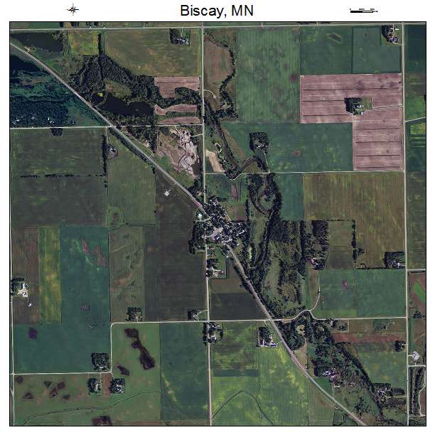 Biscay, MN air photo map