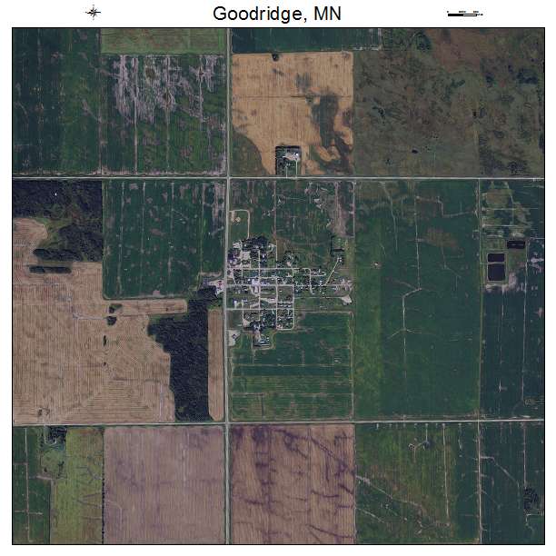 Goodridge, MN air photo map
