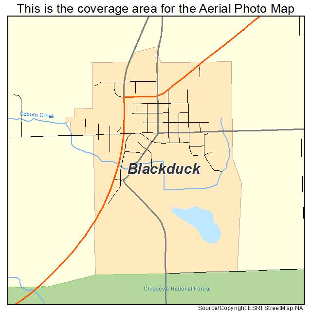 Blackduck, MN location map 