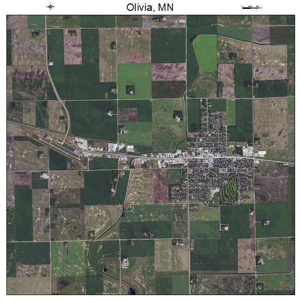 Olivia, MN air photo map