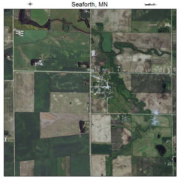 Seaforth, MN air photo map