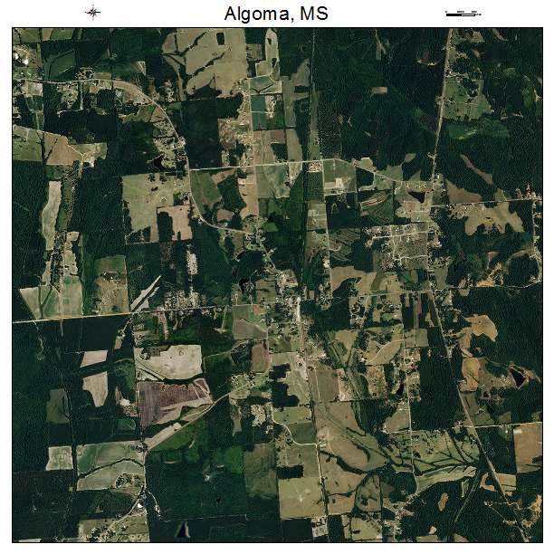 Algoma, MS air photo map