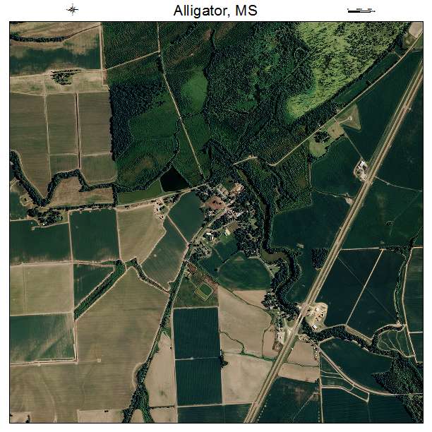 Alligator, MS air photo map