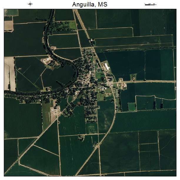 Anguilla, MS air photo map