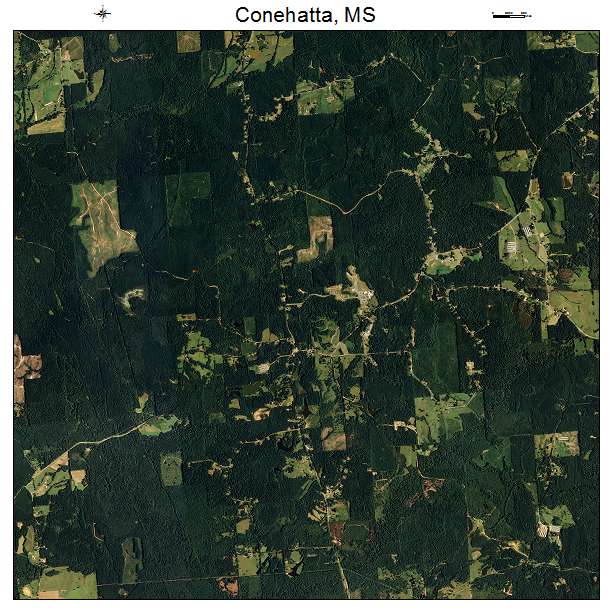 Conehatta, MS air photo map