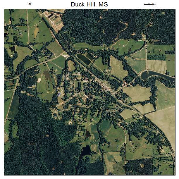 Duck Hill, MS air photo map