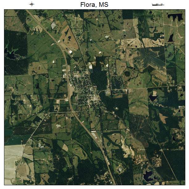 Flora, MS air photo map