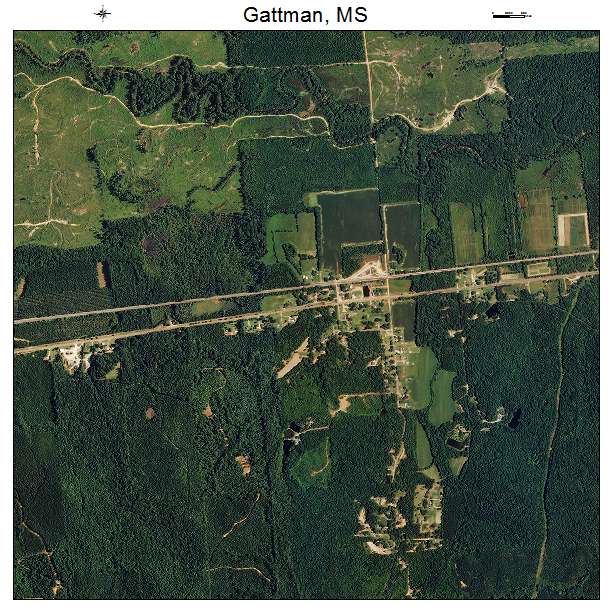 Gattman, MS air photo map