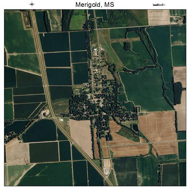 Merigold, MS air photo map