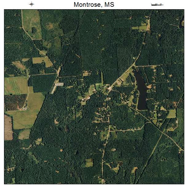 Montrose, MS air photo map