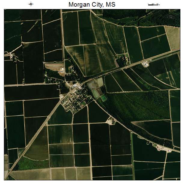 Morgan City, MS air photo map