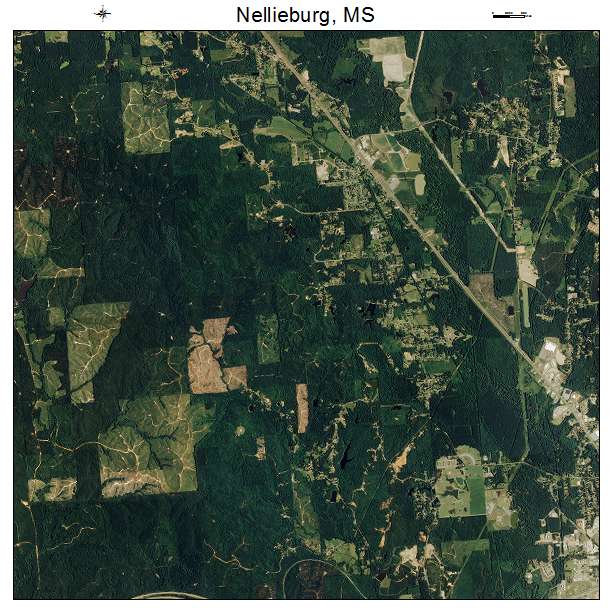 Nellieburg, MS air photo map