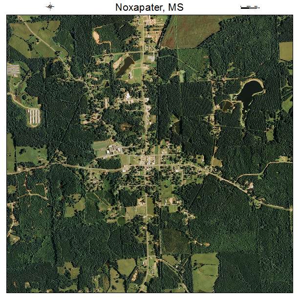 Noxapater, MS air photo map
