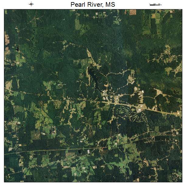 Pearl River, MS air photo map