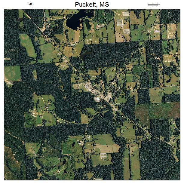 Puckett, MS air photo map