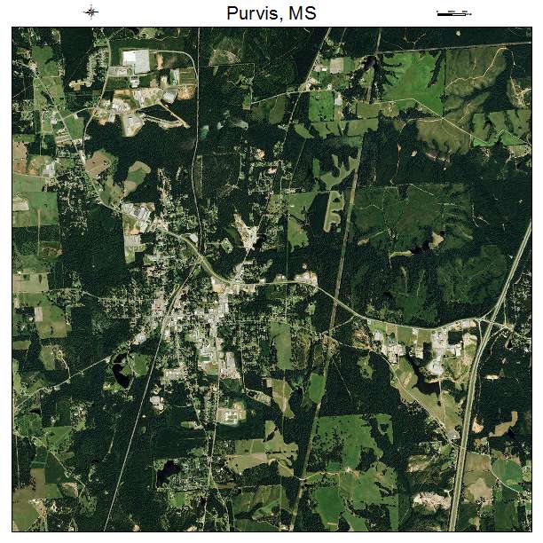 Purvis, MS air photo map