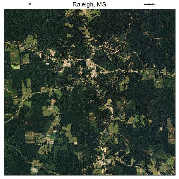 Raleigh, MS air photo map