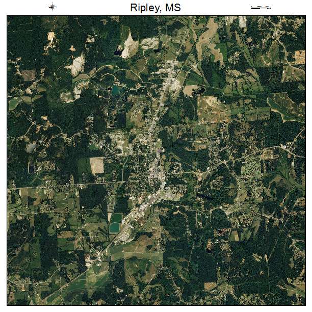 Ripley, MS air photo map