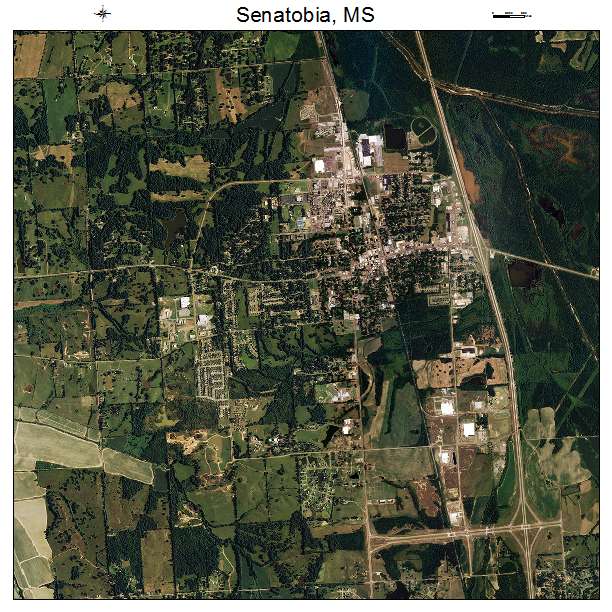 Senatobia, MS air photo map