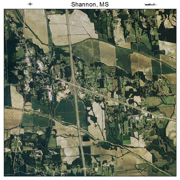 Shannon, MS air photo map