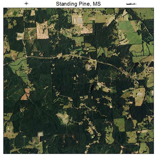 Standing Pine, MS air photo map