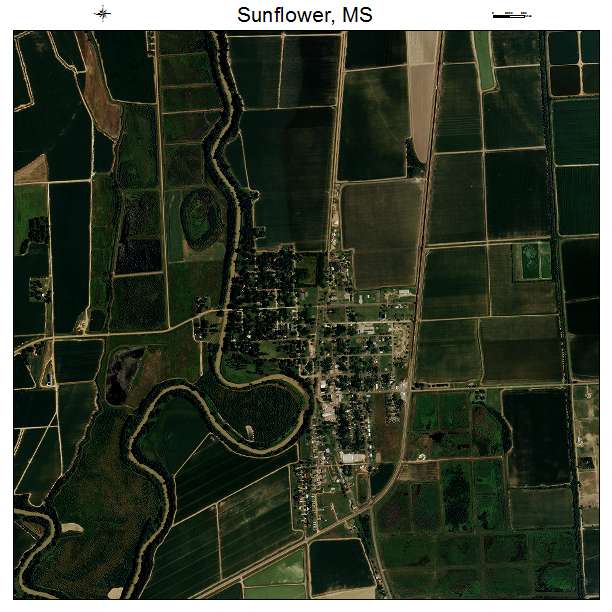 Sunflower, MS air photo map