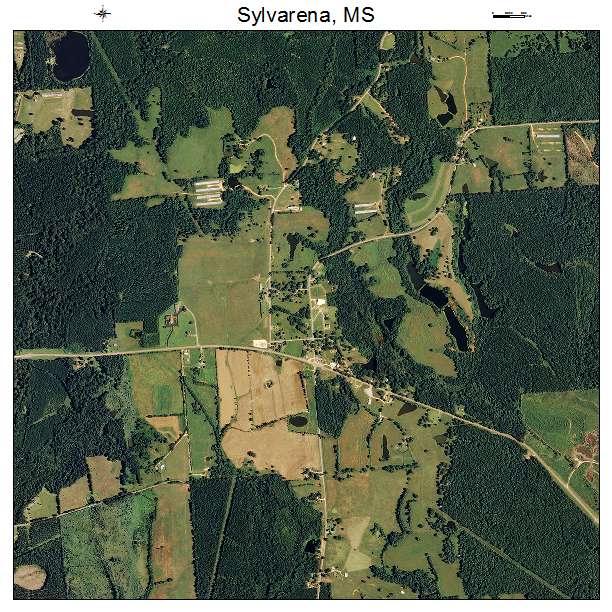 Sylvarena, MS air photo map
