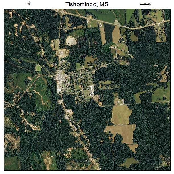 Tishomingo, MS air photo map