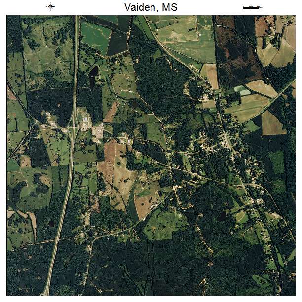 Vaiden, MS air photo map