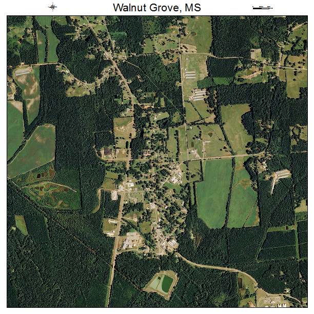 Walnut Grove, MS air photo map
