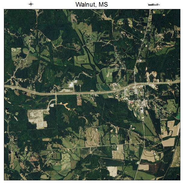 Walnut, MS air photo map