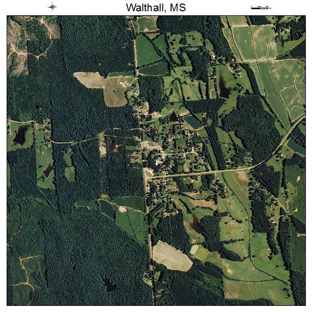 Walthall, MS air photo map