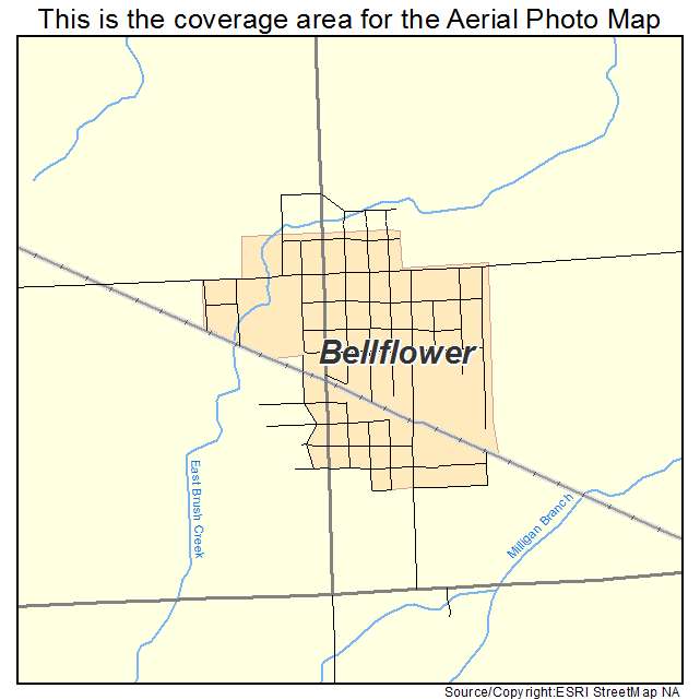 Bellflower, MO location map 