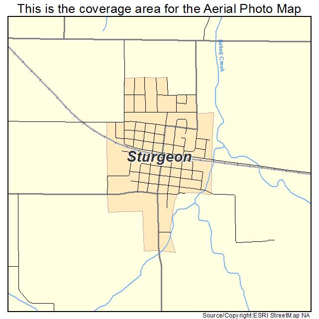 Sturgeon, MO location map 